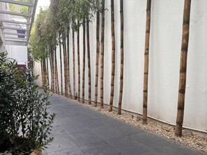 A pathway flanked by bamboo plants and a white wall, leading to a covered area with a metal roof.