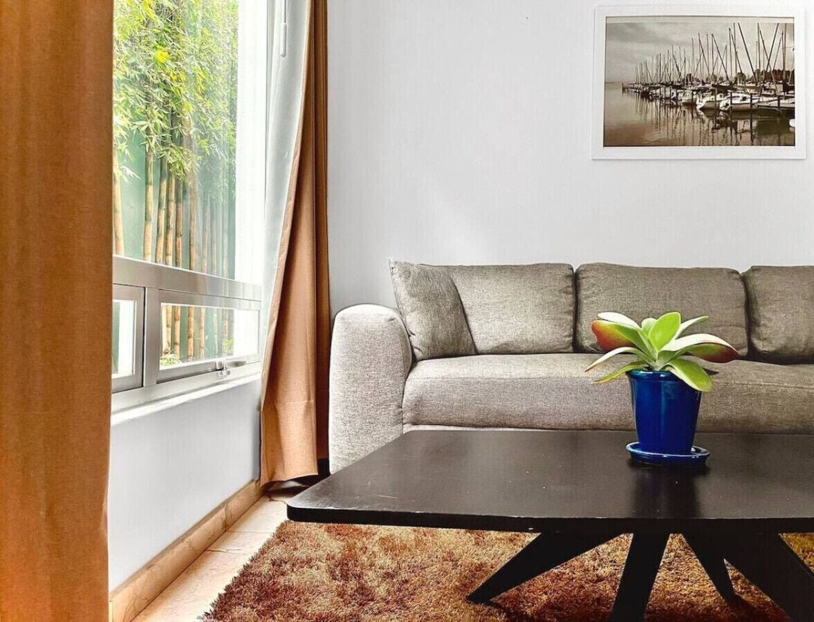 Smart TV, computer monitors