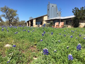 Terrain de l’hébergement 