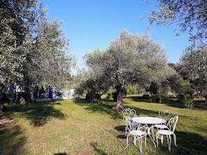 Un espace extérieur aménagé avec une table et des chaises, entouré d’oliviers et surplombé d’un ciel bleu azur.