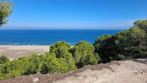 A coastal landscape with a beach, dense green trees, and a clear blue sky. - Elaia Silvis on the Mediterranean – 14-meter heated pool (TOUROUZELLE 11200)