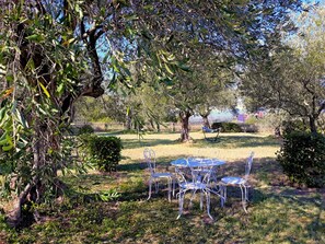 An outdoor seating area with white metal chairs and a table, surrounded by trees and grass.