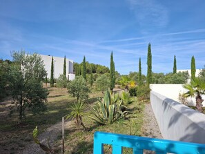 Un jardin avec différentes espèces de plantes et un bâtiment blanc en arrière-plan.