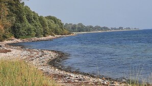 A coastal landscape with a rocky shoreline, dense greenery, and a clear view of the sea. - Idyllic apartment 10 minutes to the beach (Barkelsby)
