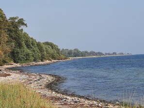 Beach nearby, sun loungers