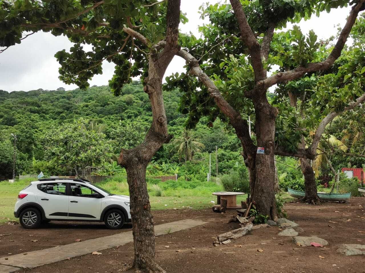 Jardines del alojamiento