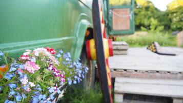 Enceinte de lâhĂ©bergement