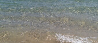 1 minute walk to the beach. Great garden. The best location