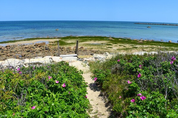 På stranden