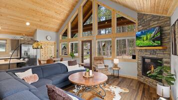 Smart-TV, Kamin, Videospiele, DVD-Player