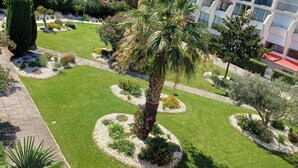 Ein gepflegter Garten mit Palmen, einem Rasen und einem Weg.