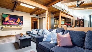 TV, fireplace, video games