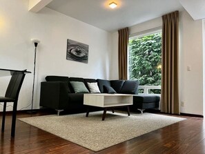 Smart TV, computer monitors