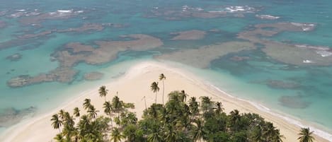 Plage à proximité
