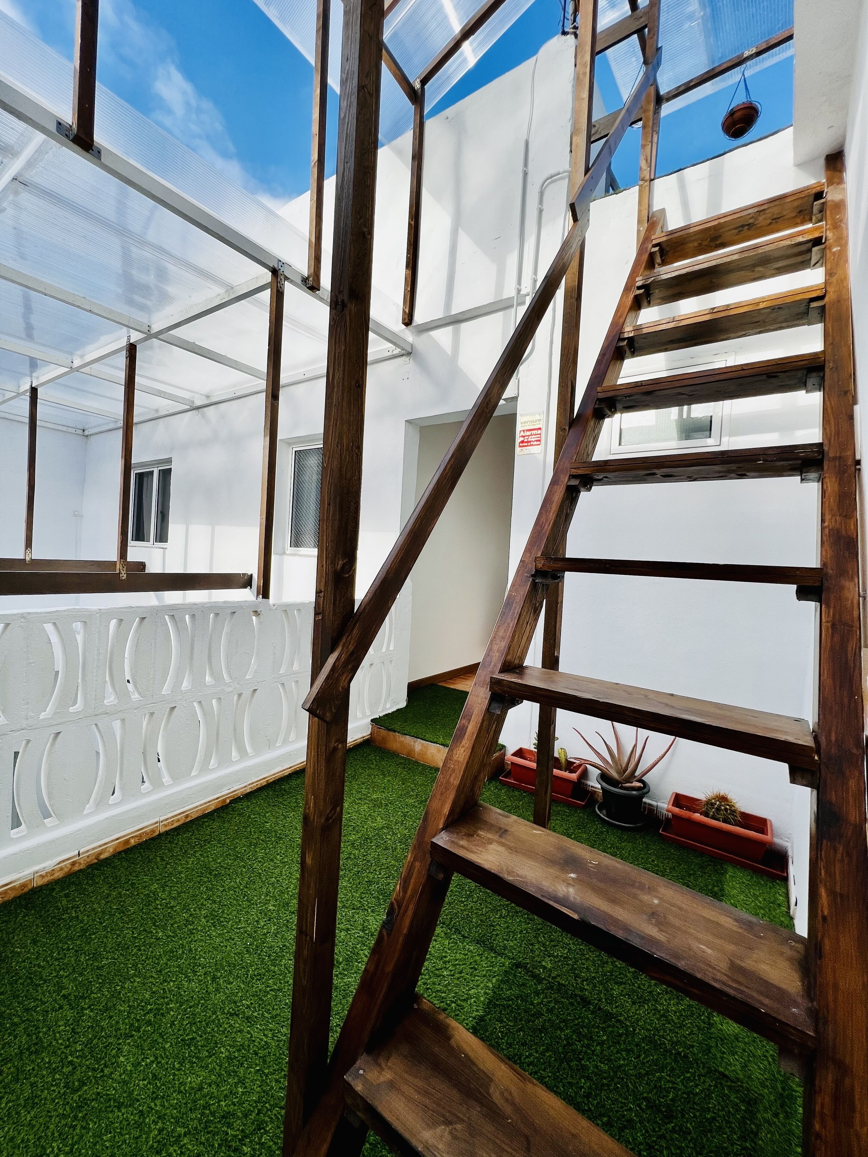 Foto - El jardin de Iris