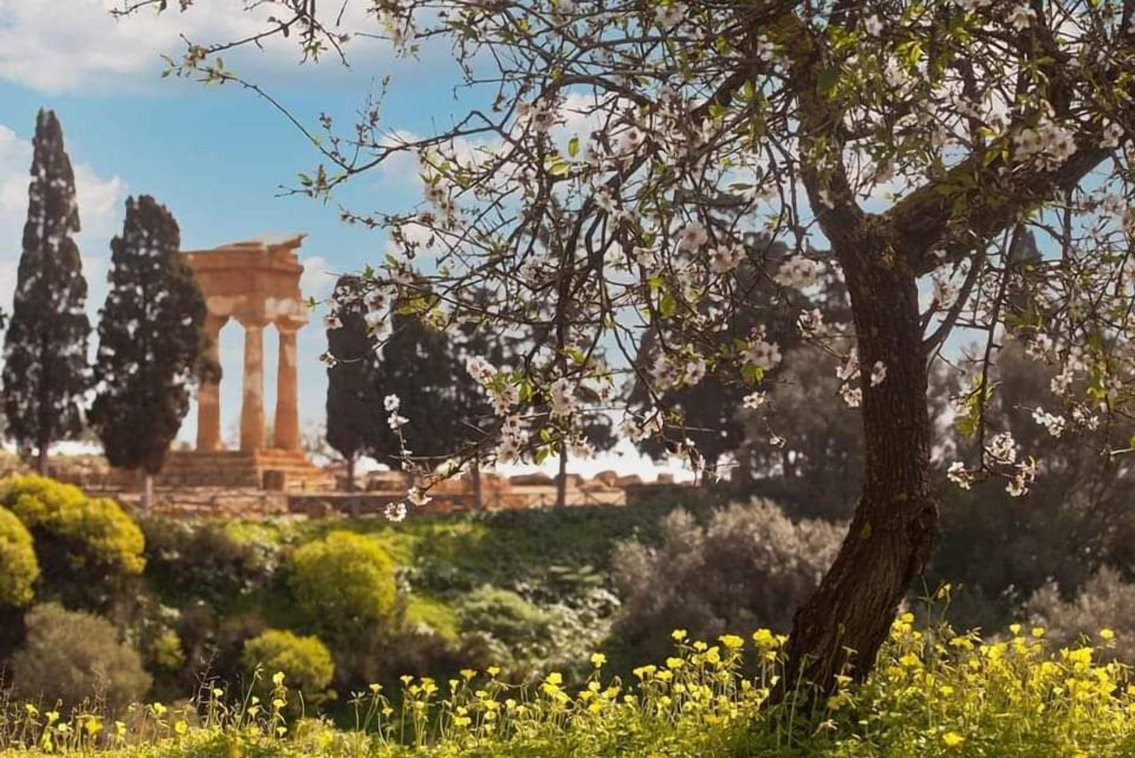 Photo - Casa Villaggio Pirandello