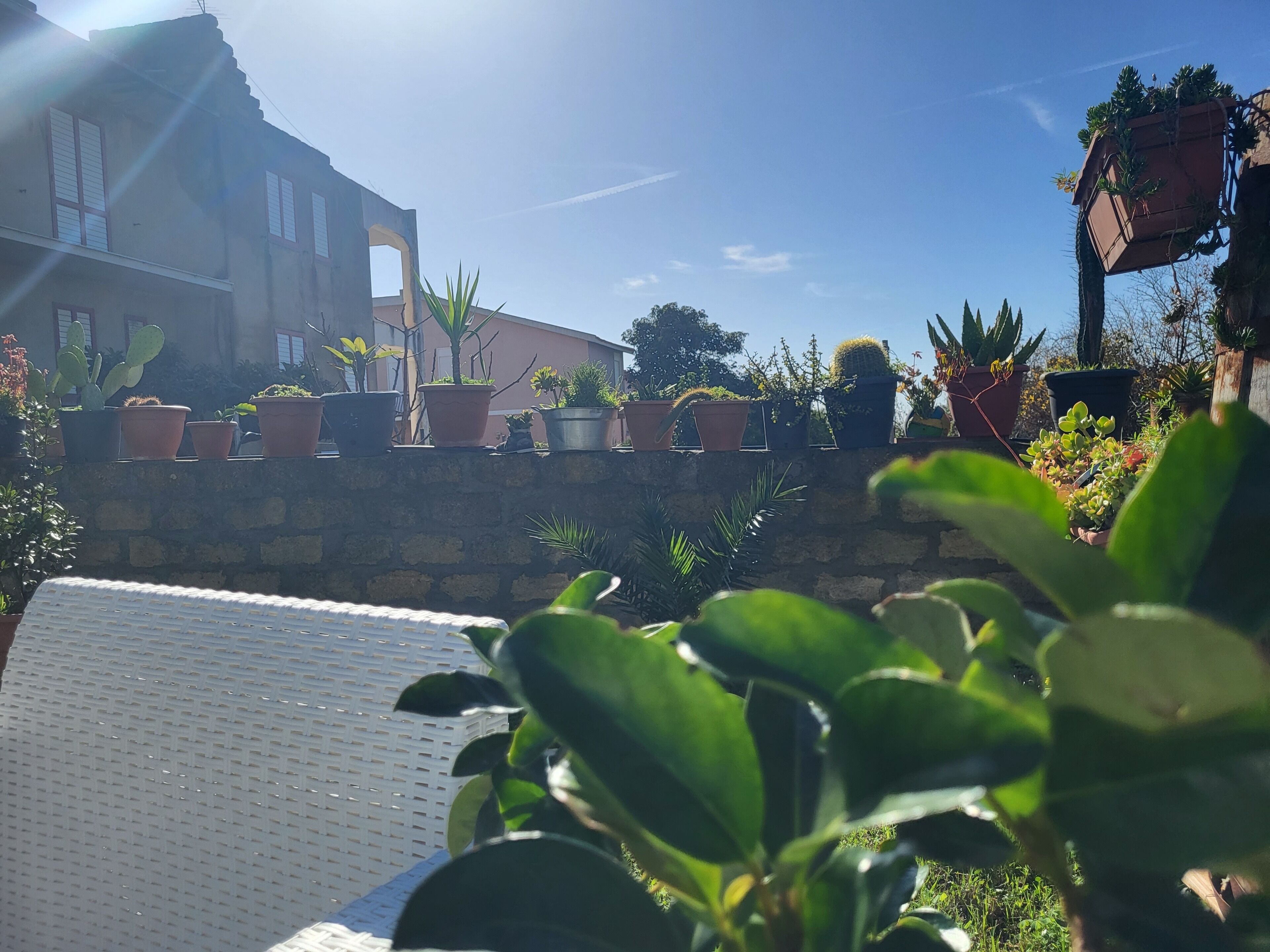 Foto - Casa Villaggio Pirandello