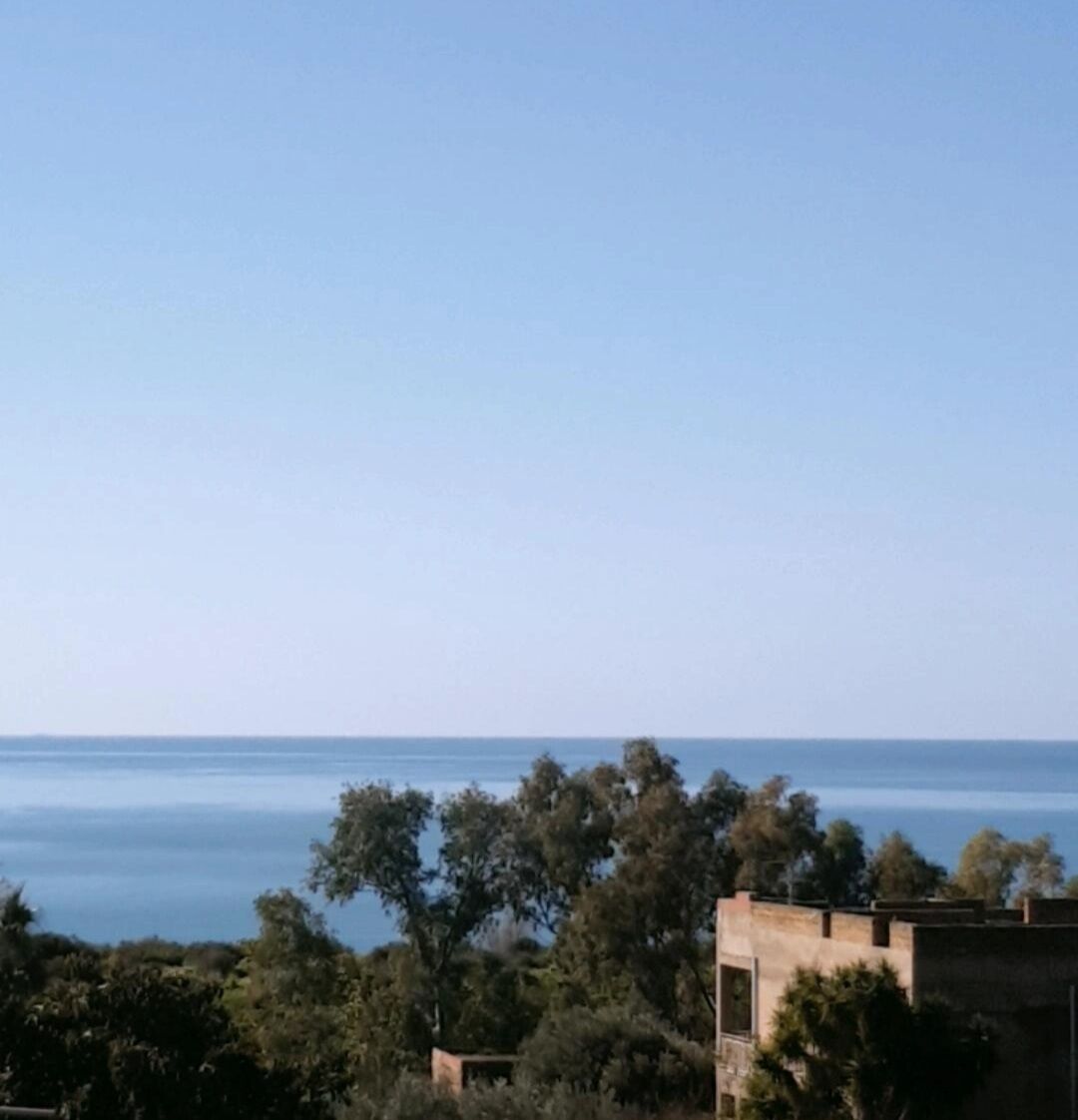 Vista costera con cielo despejado, un cuerpo de agua y edificios con árboles en primer plano.