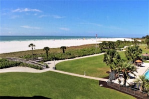 A beach resort with a swimming pool, palm trees, and a view of the ocean.