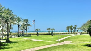 A well-maintained grassy area with a paved walkway, palm trees, and a flagpole with an American flag. - Lanai and Beach Acess - Gulf and Bay Club E104 (Siesta Key)