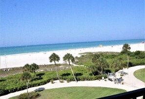 A beach view with palm trees, a sandy beach, and a clear sky.