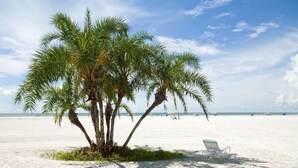 A beach with a palm tree and a single beach chair. - Jamaica Royale 051 Updated and close to the pool! (Siesta Key)