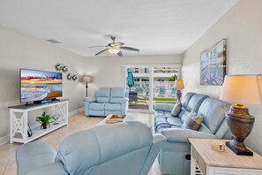 电视、DVD 播放器