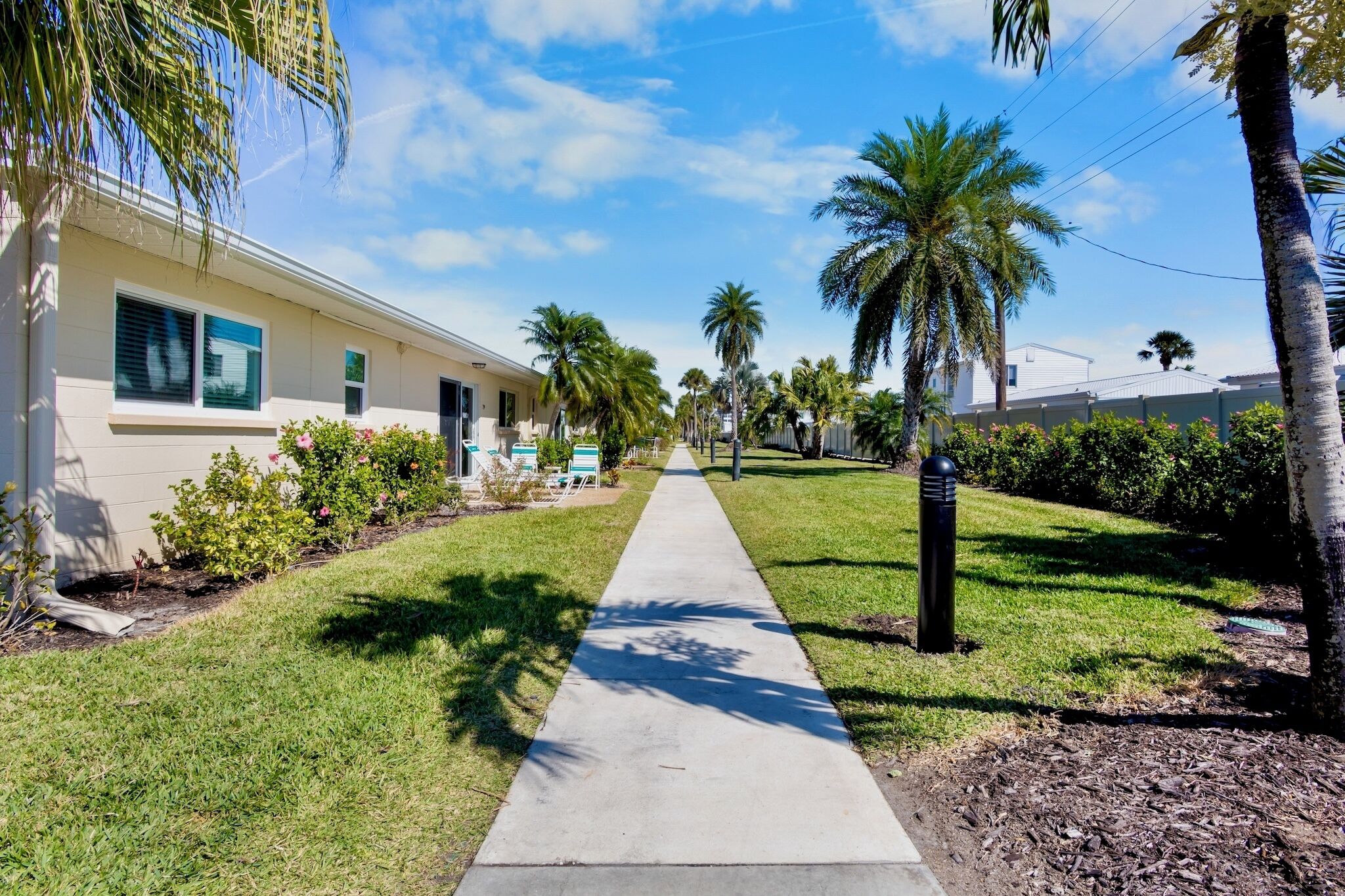 A pathway lined with palm trees and a building with a beige facade.