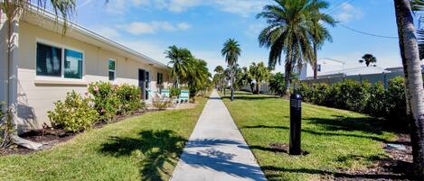 A pathway lined with palm trees and a building with a beige facade.