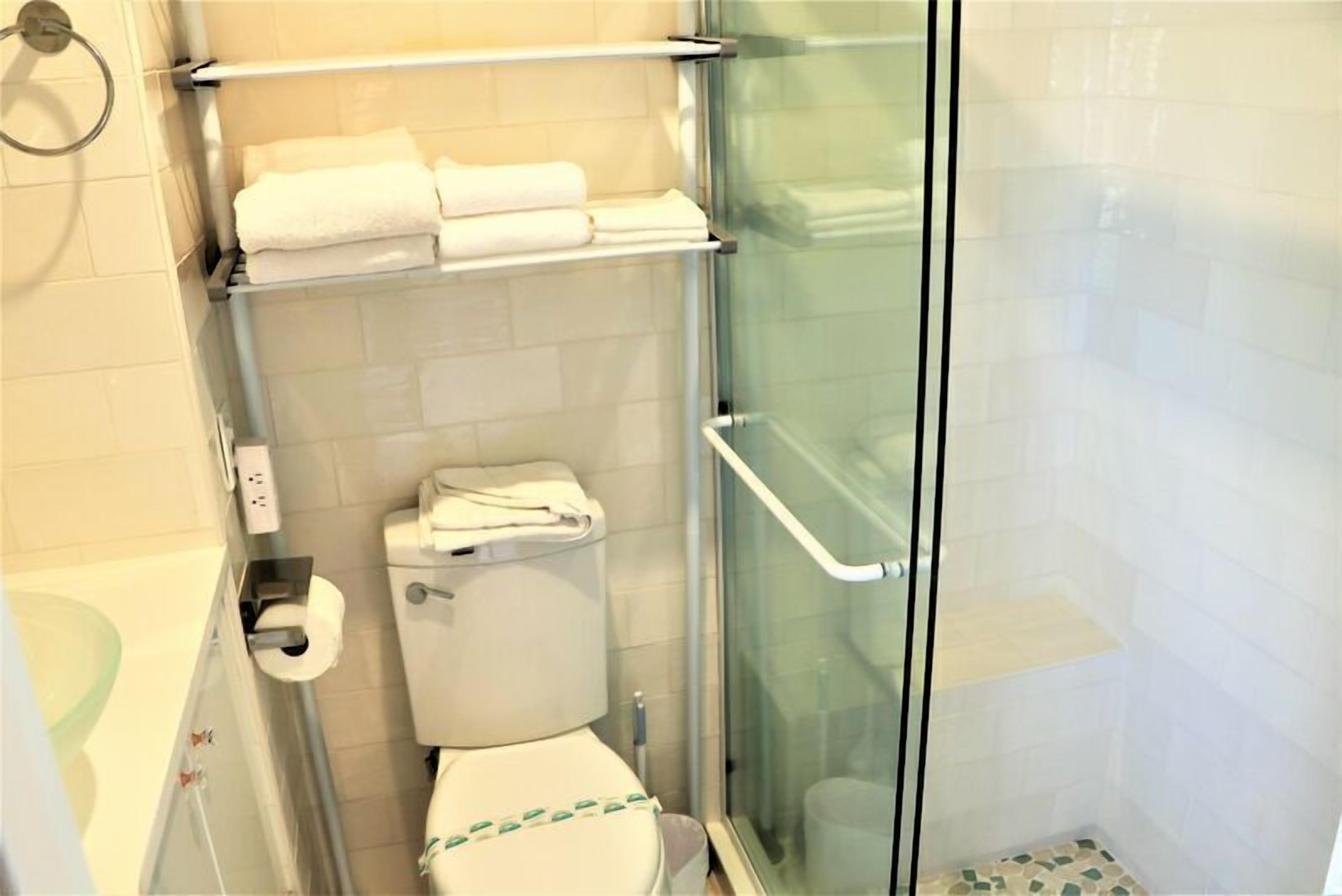 A modern bathroom with a glass shower enclosure, a toilet, and a towel rack.