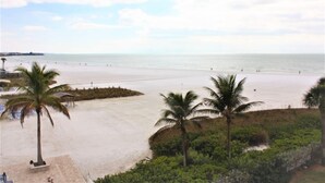 Una playa con palmeras y una zona arenosa.
