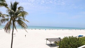 Une plage avec un palmier, un espace de repos abrité et une vue dégagée sur l’océan.