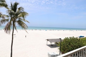 Ein Strand mit einer Palme, einer überdachten Sitzgelegenheit und freiem Blick auf den Ozean.