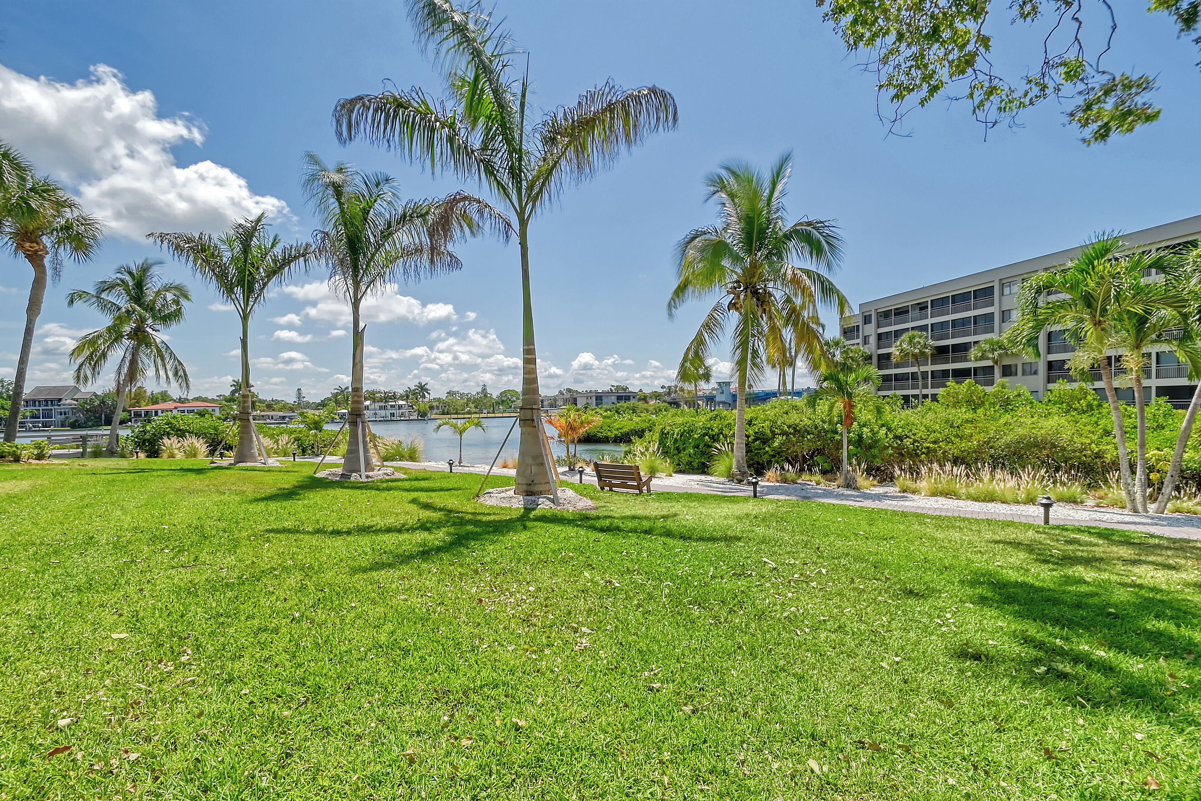 A park with palm trees, a bench, and a building in the background.