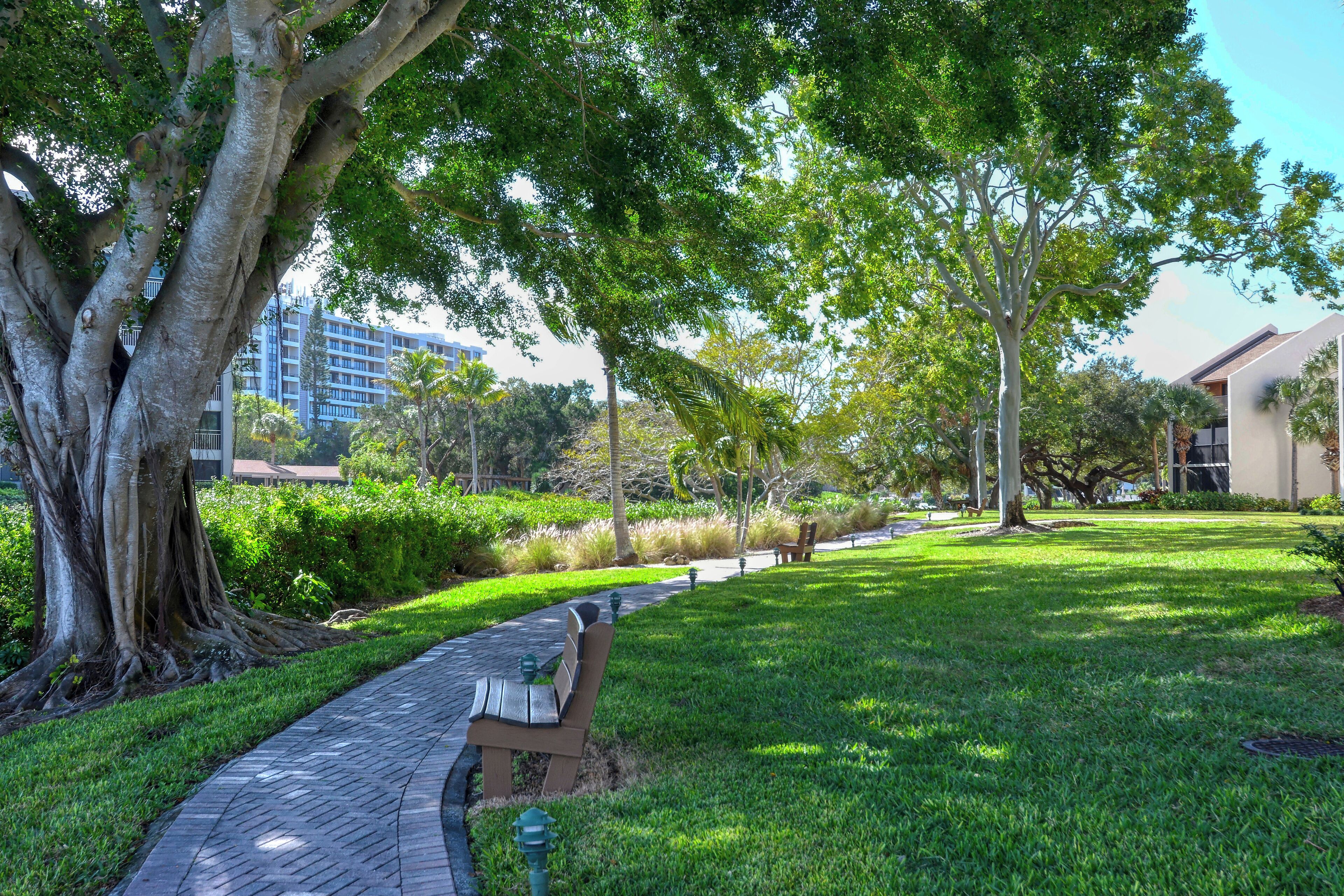 Un sentier dallé, agrémenté de bancs, entouré d’une végétation luxuriante et d’arbres.