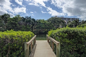 A wooden bridge leading to a body of water, surrounded by dense greenery and a building in the background.