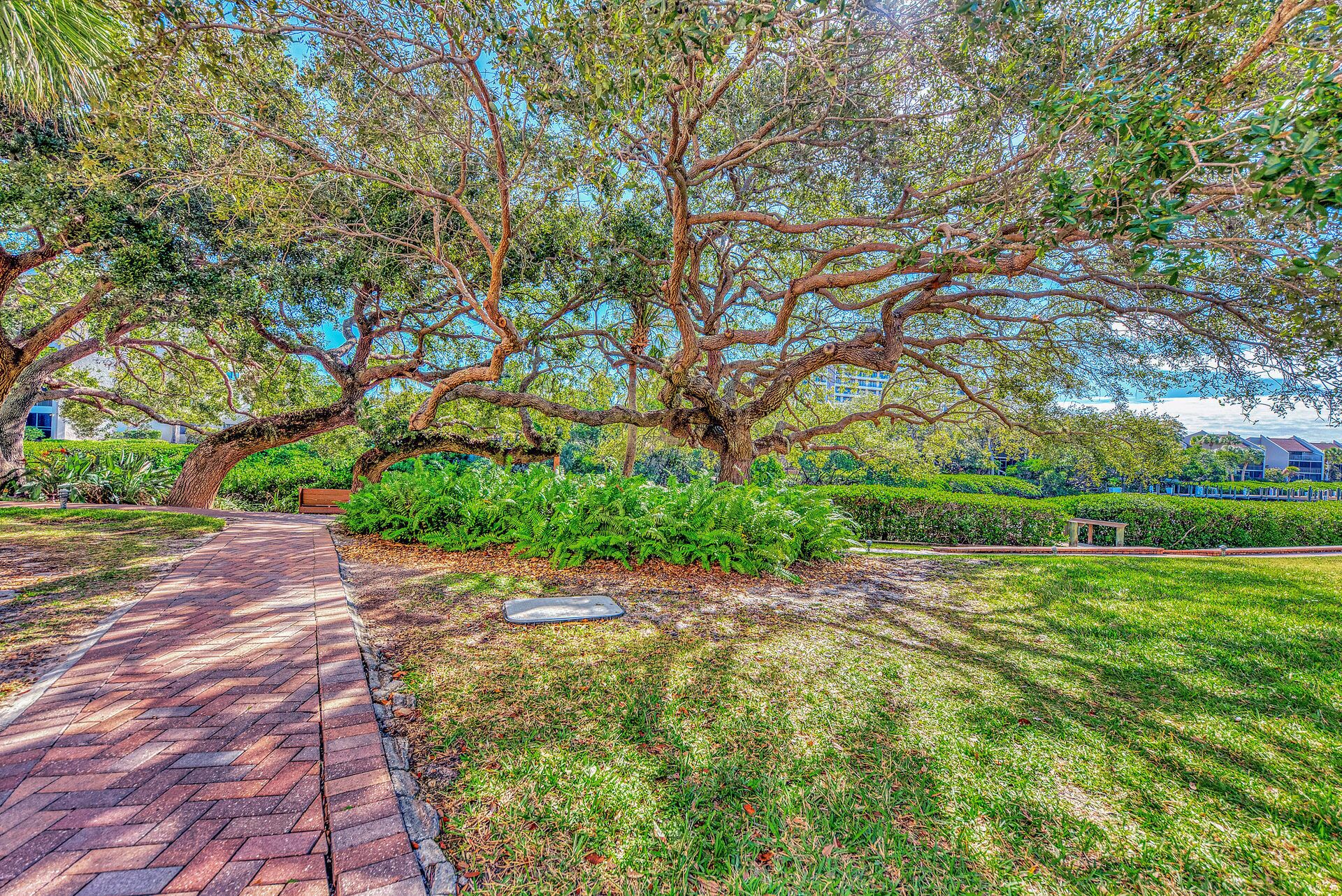 A paved pathway leading through a park with mature trees and well-maintained grass.