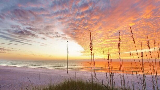 Een strand met een zonsondergang, grasduinen en een heldere lucht.