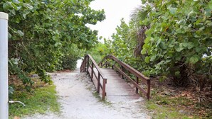 Un sendero de madera con barandas que atraviesa una vegetación densa.