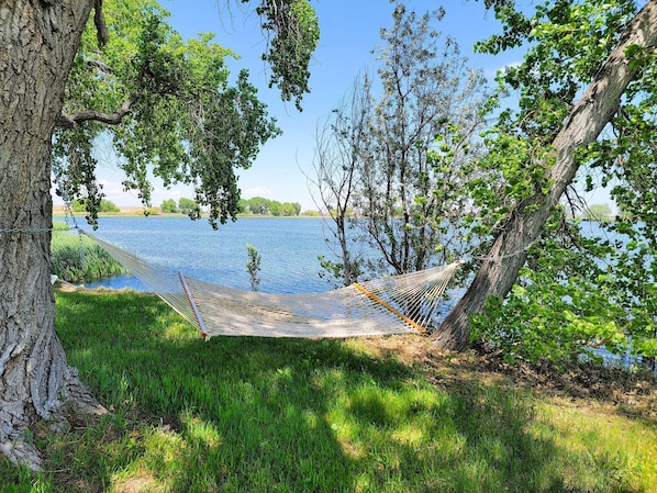 A hammock tied between trees by a lake. - Amor Vida — a quiet 1910 farmhouse in the Colorado countryside (Ault)
