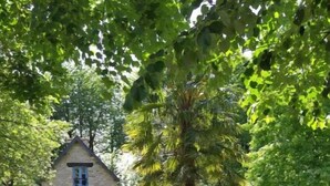 A stone cottage with a blue door, surrounded by lush greenery and a small garden with a folding table and chairs. - The bakery lives in the countryside near hiking trails (Val-Couesnon)