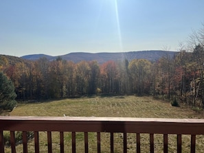 Blick von einem Balkon auf ein grasbewachsenes Feld mit Bäumen und Hügeln in der Ferne.