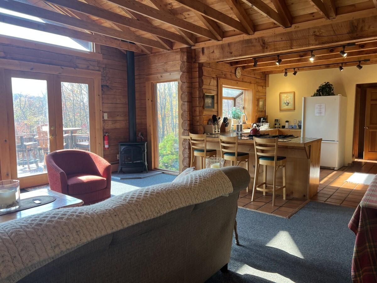 Un intérieur de chalet chaleureux avec une cheminée, un coin repas et une cuisine.