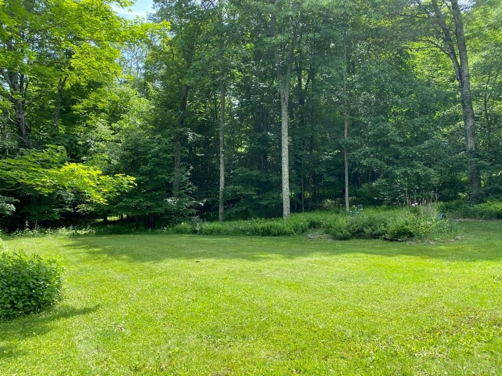 A grassy field surrounded by dense trees.