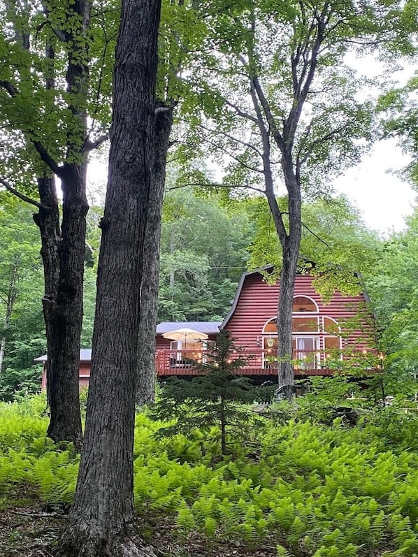 A cabin surrounded by dense green foliage. - Cozy, Spacious Cabin with Kid-Friendly Amenities (Roxbury)