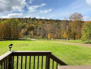 A grassy outdoor area with a wooden deck and a view of a forested hill.
