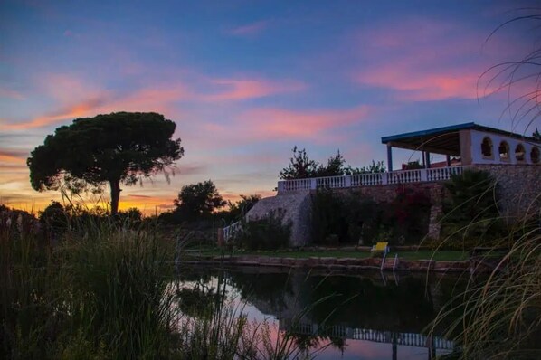 Casa | Área da propriedade