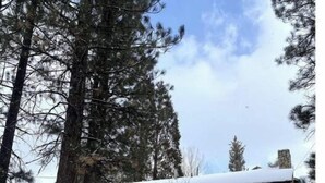Une cabane en bois dotée d’un porche abrité, entourée de grands pins et de neige.