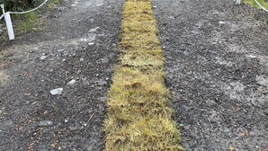 A gravel path with a yellow line down the center, flanked by white rope barriers and trees. - Cabañas Mi Refugio Puerto Varas (Puerto Varas)