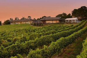 Property grounds - Yarra Valley Vagabond (Research)